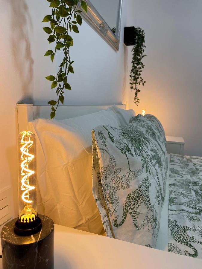 Dream Recova Apartment Santa Cruz de Tenerife Luaran gambar