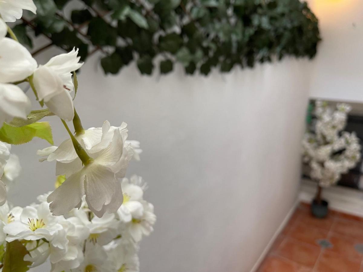 Dream Recova Apartment Santa Cruz de Tenerife Luaran gambar